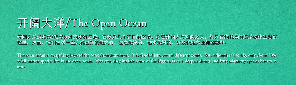 open ocean.jpg