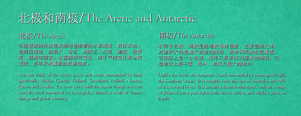 arctic antarctic.jpg